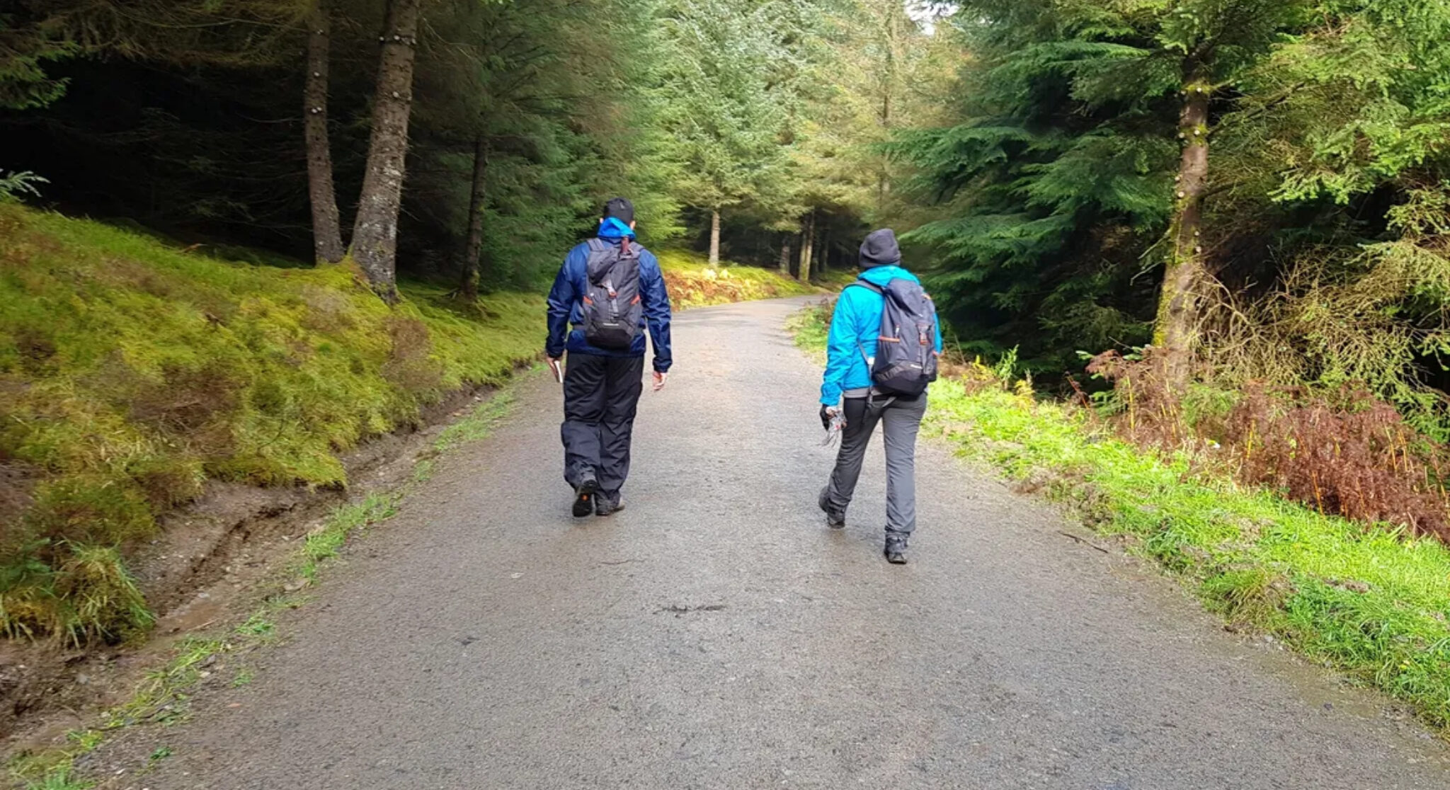 People walking together on a woodland path