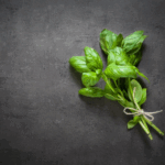 Fresh oregano herb and oregano oil showing health benefits