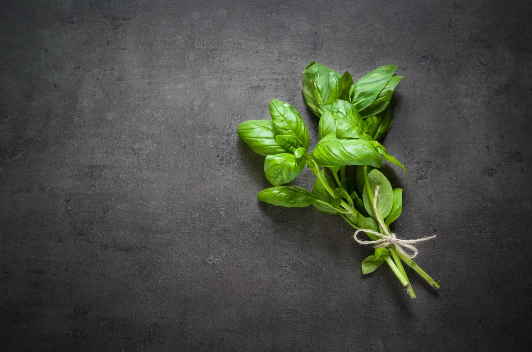 Fresh oregano herb and oregano oil showing health benefits